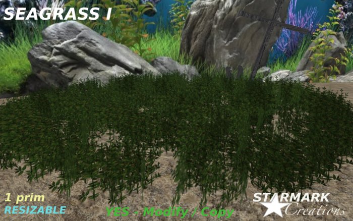 Seagrass I from STARMARK CREATIONS - underwater plants