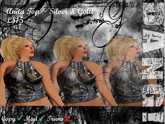 DANG! Anita Top (Silver & Gold)