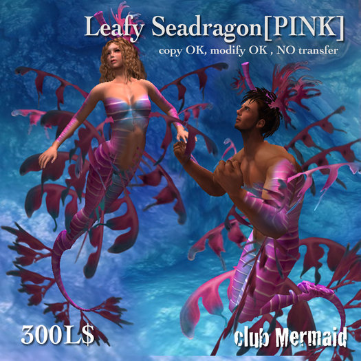 !cm!Leafy Seadragon[pink]copy