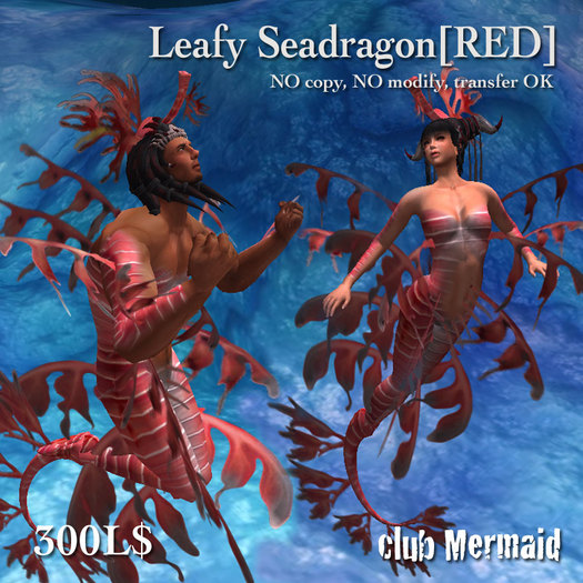 !cm!Leafy Seadragon[red]trance