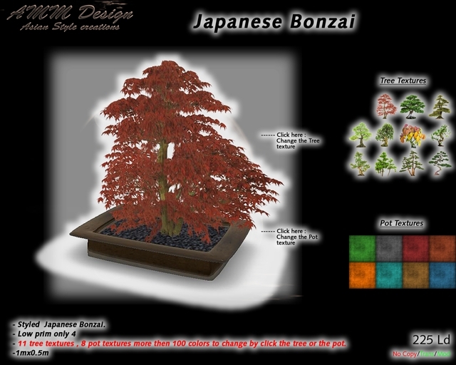 *AMM Design Furniture / Decor Bonzai