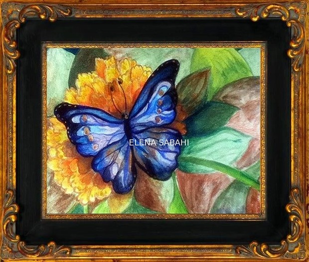 Mariposa by Elena Sabahi