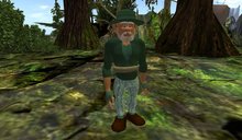 Wingsong Elf Avatar Box