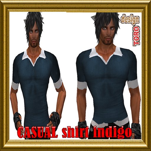 CASUAL shirt INDIGO