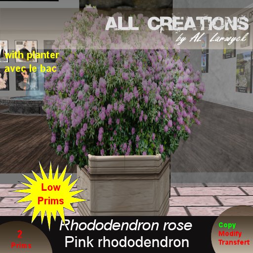 **ALL Creations * * Pink Rhododendron (boxed)