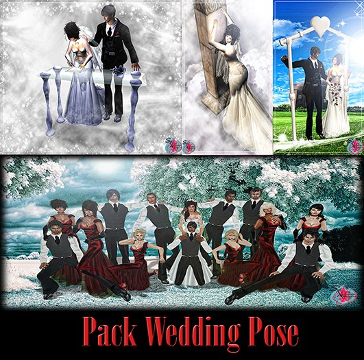 .:. Seil Xpression .:. Wedding Pose Pack 04