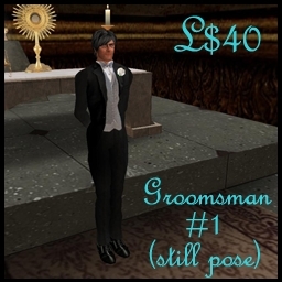 Groomsman #1 (Still Pose for Wedding Photos)