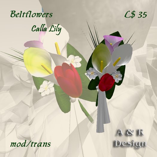 Beltflowers Calla Lily