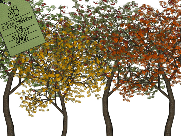 SB TREE TEXTURES F (4)