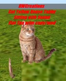 Cat Yellow House Tabby Sitting flat tga with Sound(boxed)