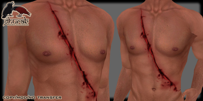 Sword Wound Chest