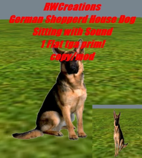 German Shepperd House Dog Sitting with Sound (boxed) 