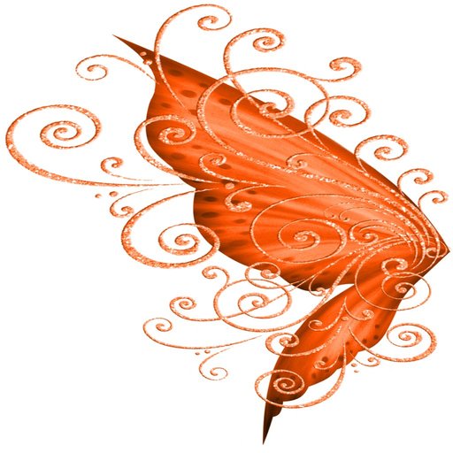 14 Elys wings swirl orange B