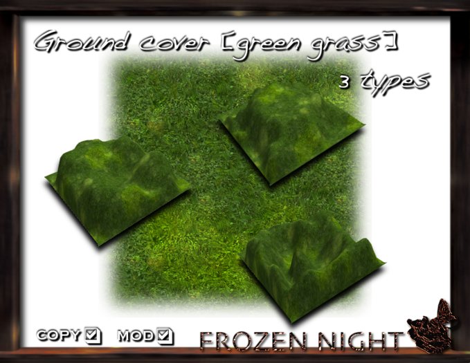 FN*ground cover [green grass]