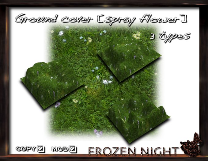 FN*ground cover [spray flower]