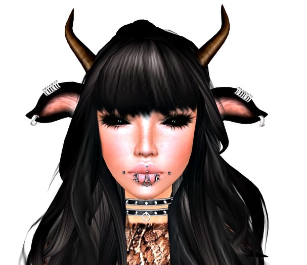 ::Audrey:: Shape + Style Card - SALE