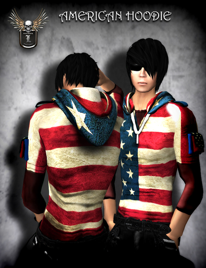PIXLIGHTS FACTORY American Hoodie