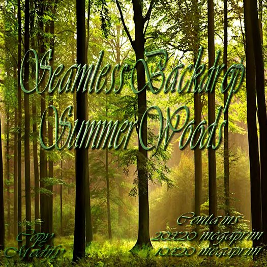 Background SummerWoods "Late summer afternoon"