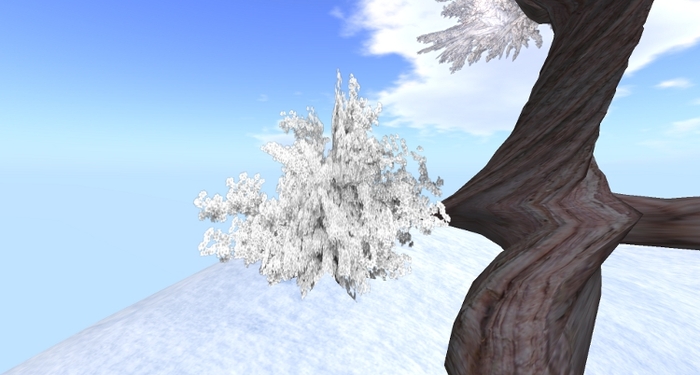 winter white azalea, 1-prim
