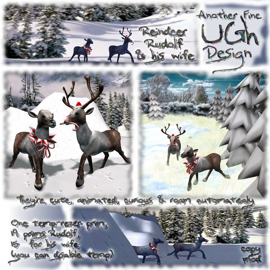 Walking Reindeer Rudolf & his Wife 