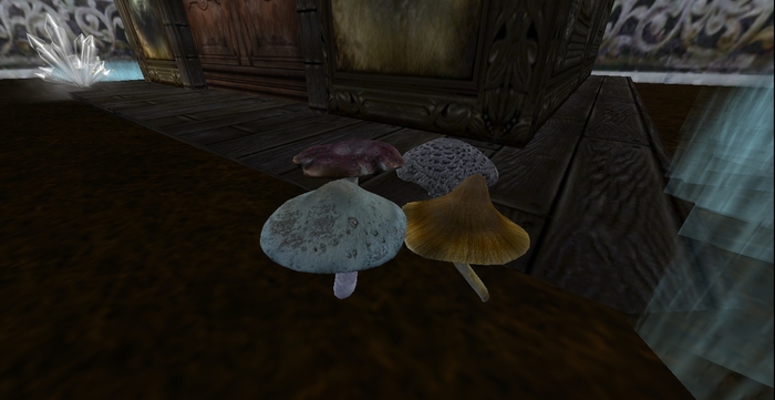 *CC* Mushroom Tip Jar (Boxed) C/M