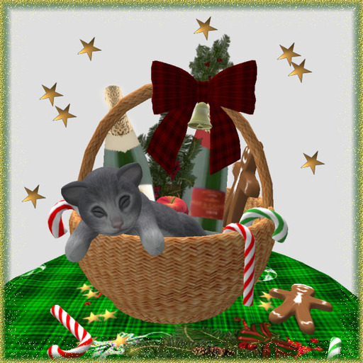 kitten gift basket