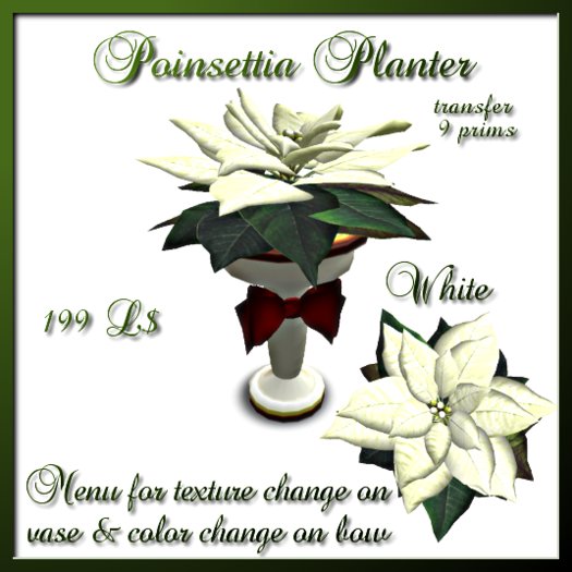 Roses by Res- Poinsettia Planter White (giftbox)