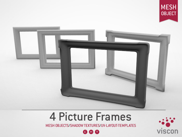 Viscon* Mesh Picture Frames