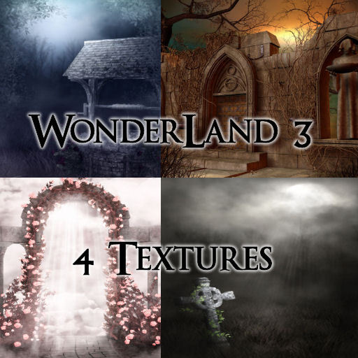 TheBox(WonderLand3)