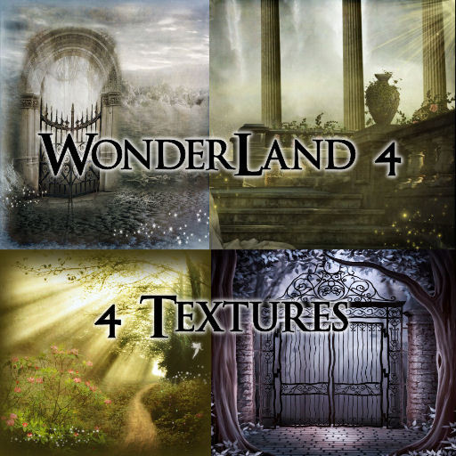 TheBox(WonderLand4)