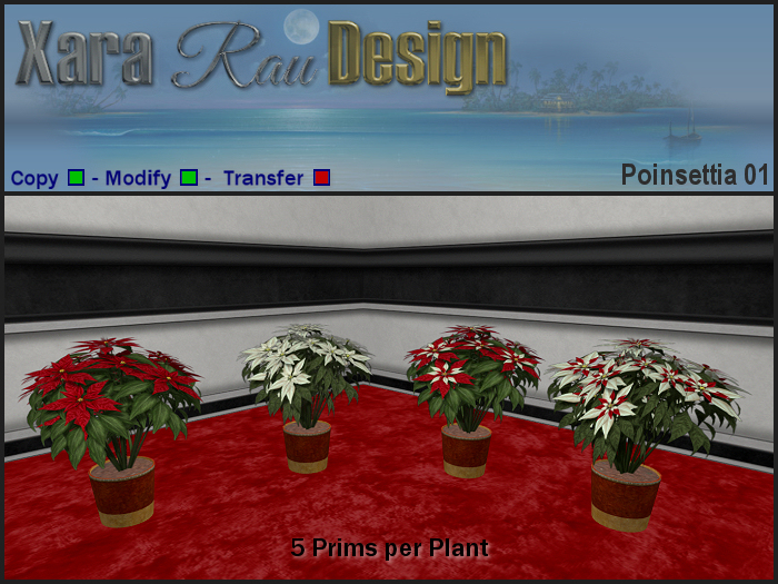 Xara Rau - Christmas Poinsettia 01