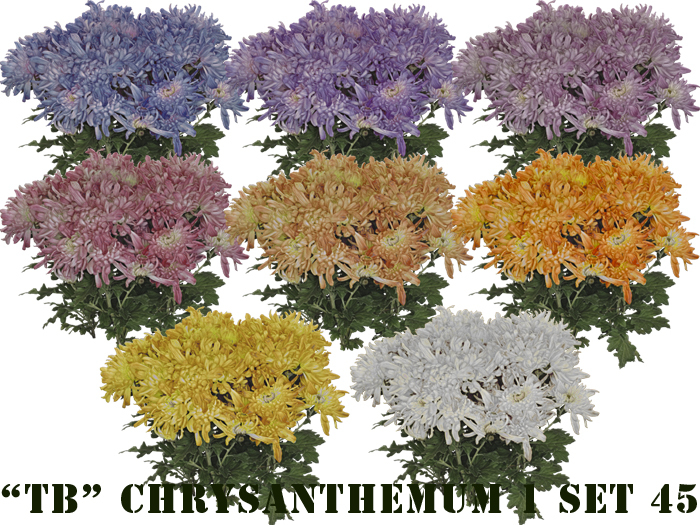 Twice Baked 8 FP textures Chrysanthemum with 3D effect set 45