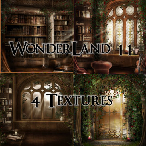 TheBox(WonderLand11)