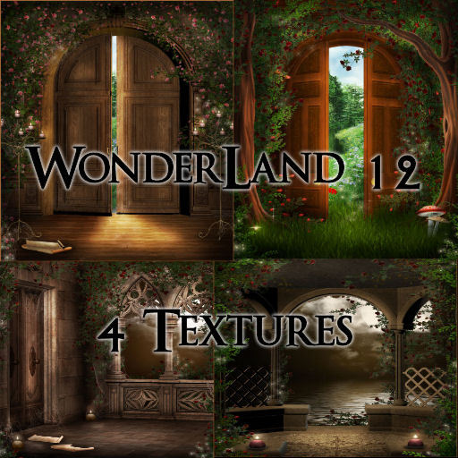 TheBox(WonderLand12)