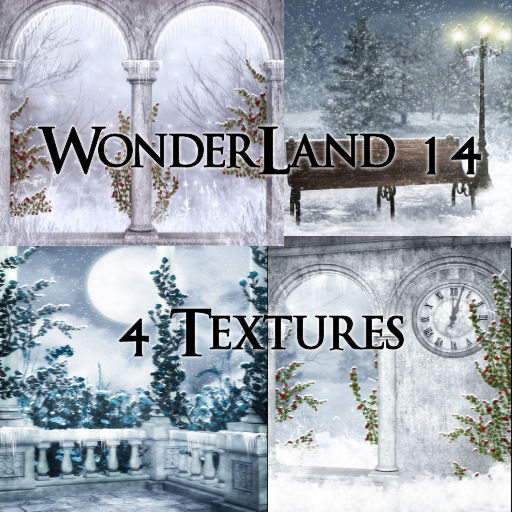 TheBox(WonderLand14)