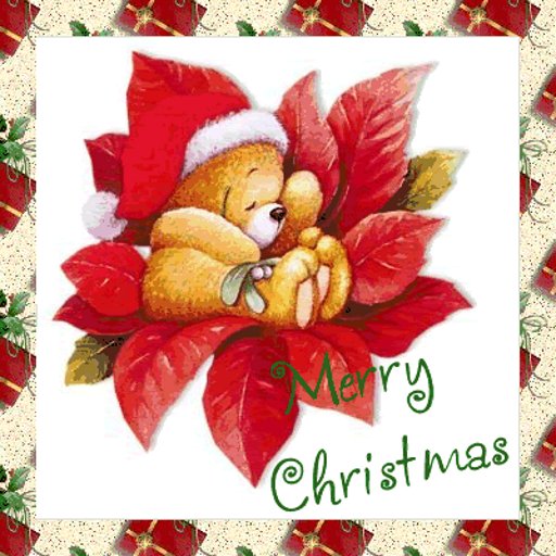 Cute Bear Xmas Card