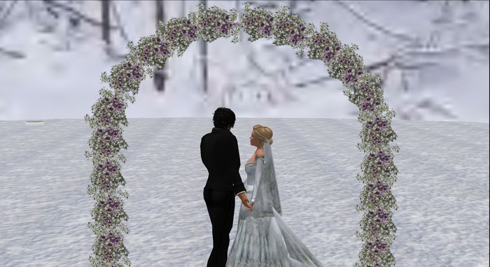 <BD>  Wedding Arch