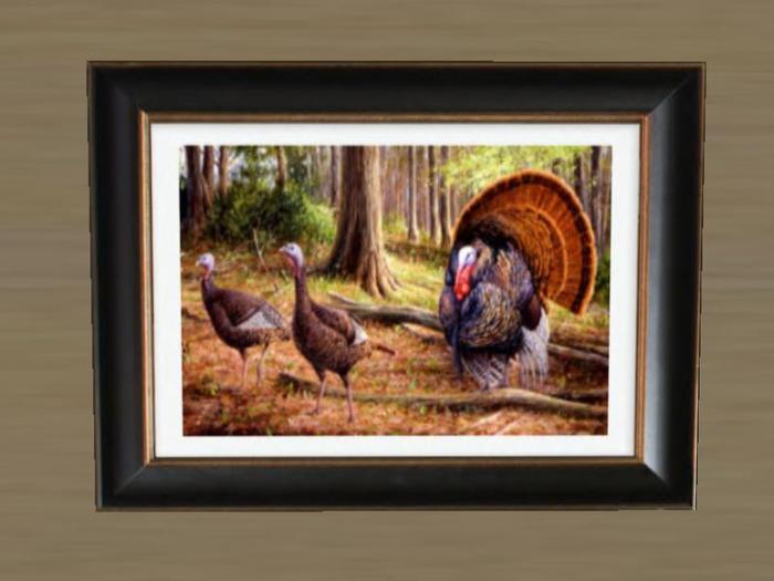 Wild Turkeys in the Woods