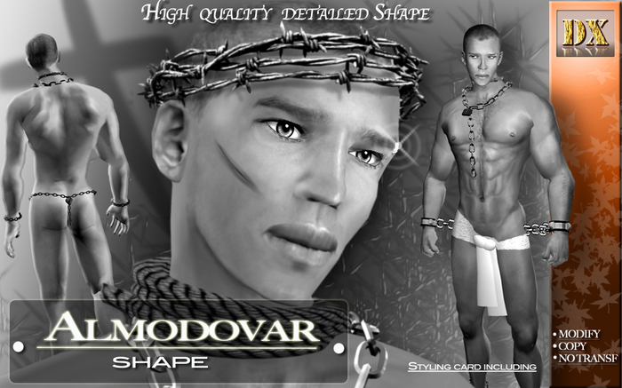 [DX Designs] Almodovar DEMO Shape (Boxed)