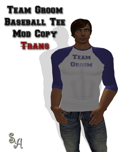 Stitch Alchemy - Team Groom Baseball Tee (Boxed)