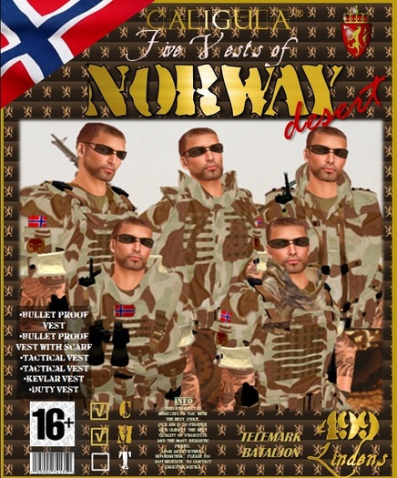 NORWEGIAN ARMY DESERT VESTS