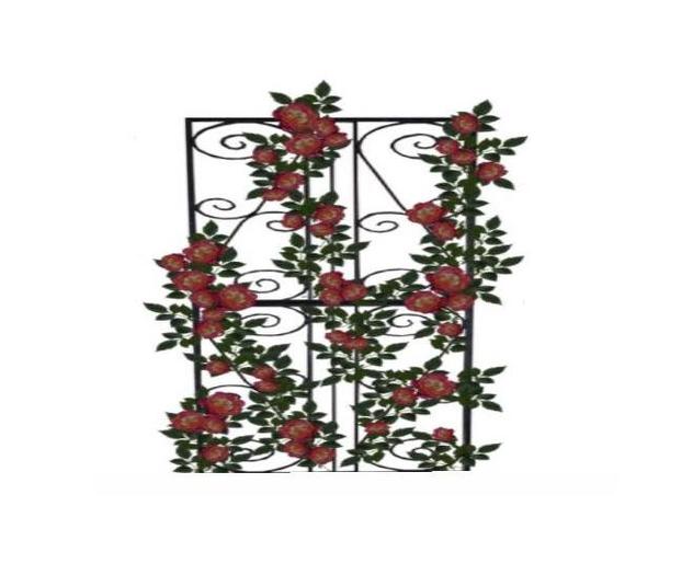 CB Rose Trellis 1 BOXED