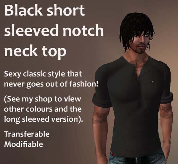 Black Short Sleeved Notch Neck Top
