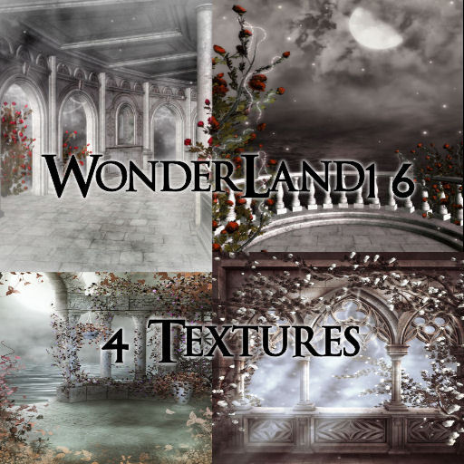 TheBox(WonderLand16)