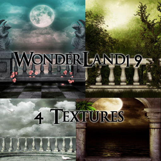 TheBox(WonderLand19)