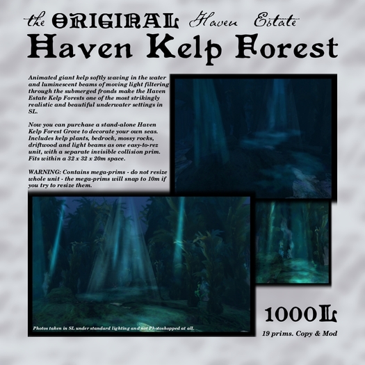 The Original Haven Kelp Forest - Kelp Grove