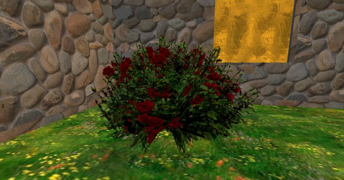 rose bush crimson 3 new