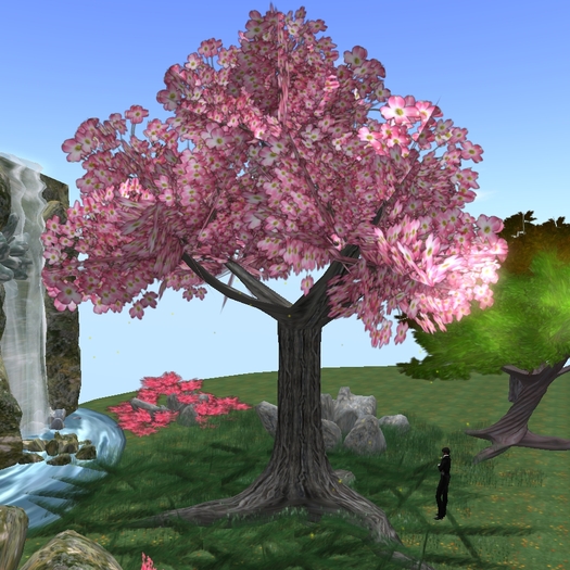 Pink dogwood, 2-prim