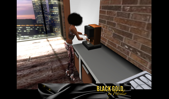 Hosehold Poses 10 Pack FULLPERM - Poses de Casa