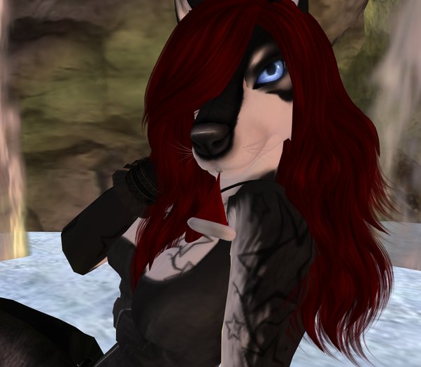 TFC Santa Hat Nommie boxed